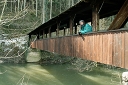 wooden bridge