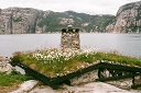 flowered roof