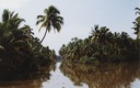 fishing
                        nets, Backwaters