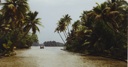 tropical
scenery