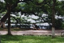 Hoan Kiem lake