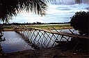 foot bridge