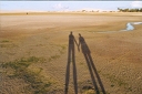 shadows on beach