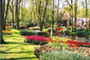 Keukenhof