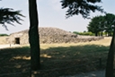 Tumulus du marchand