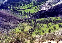 terraces near Marrakesh