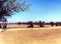 Zagora oasis