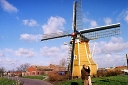 yellow mill