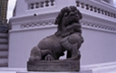 lion guardian