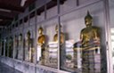 Buddha statue collection