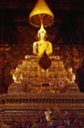 Golden Buddha
