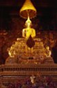 Golden Buddha