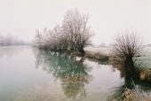 winterscape somewhere in France