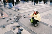 doves in front of the Duomo in Milano,
                        Italy