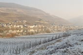 winter landscape on the Mosel valley,
                        Germany