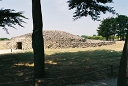 tumulus du marchand