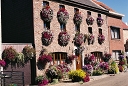 geranium façade