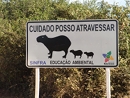 capibara sign
        Pantanal (BR)