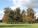 tree pack at
        Versailles castle (FR)