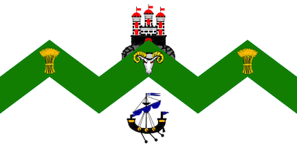 City flag Dunedin