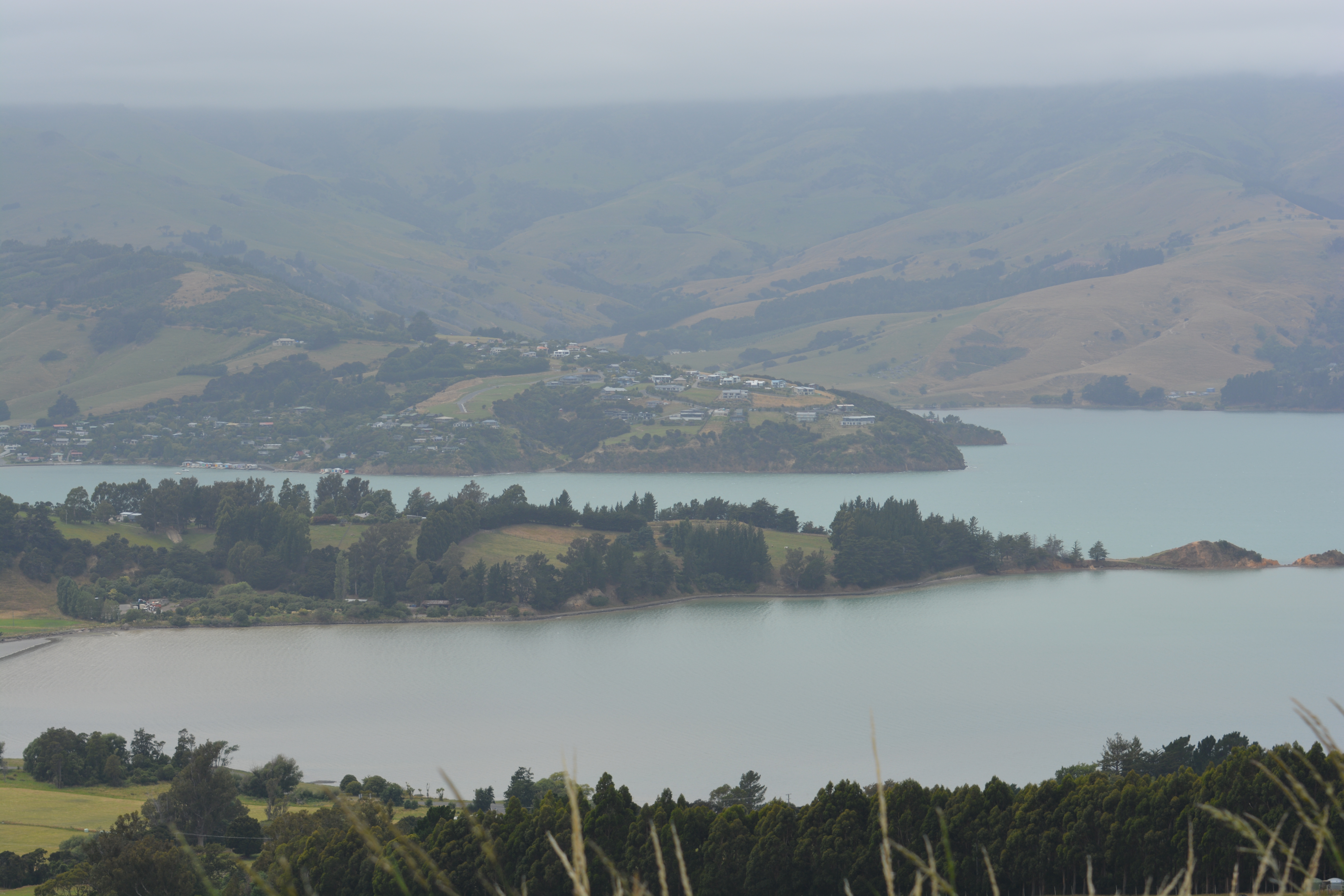 Akaroa landscape