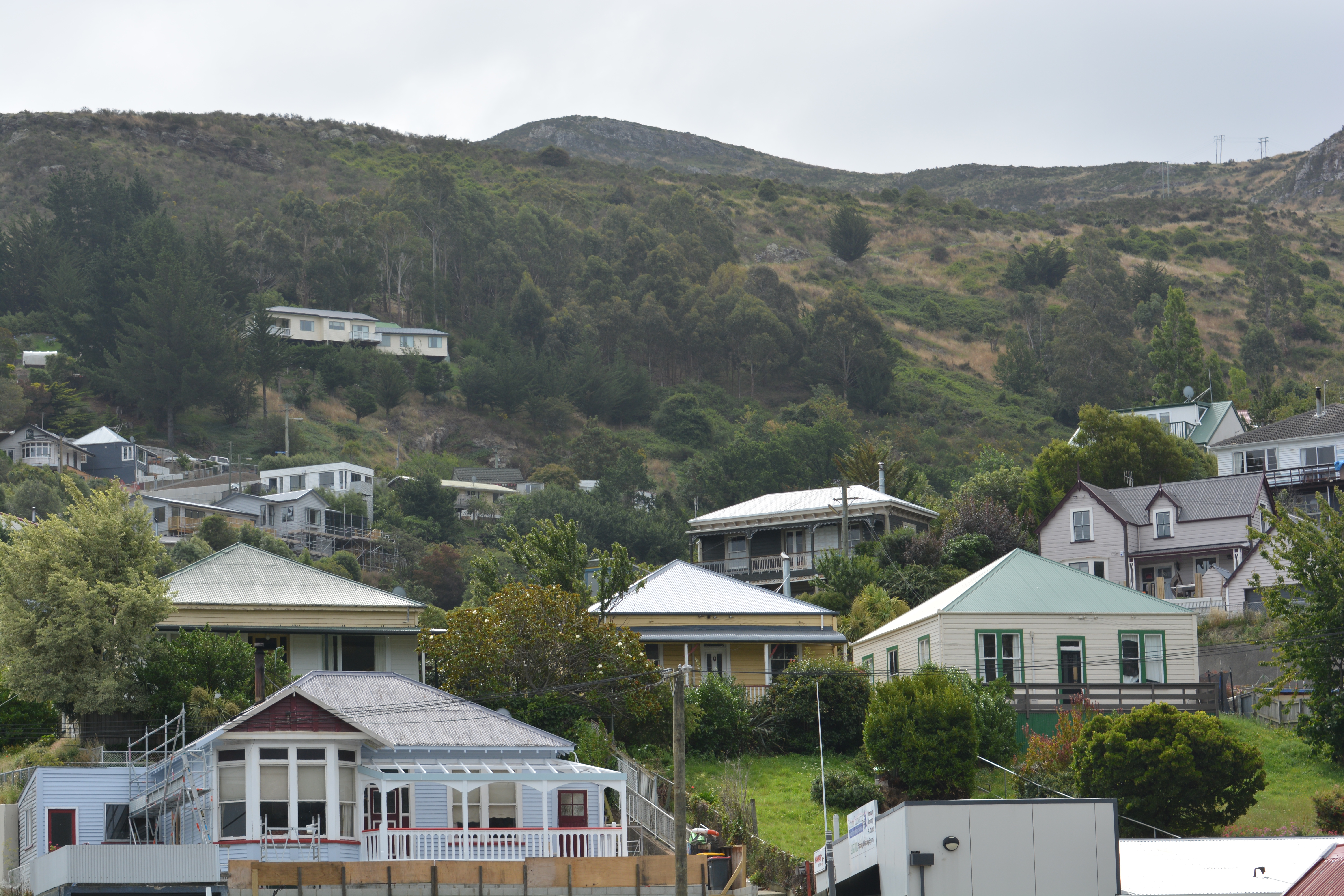 Lyttelton