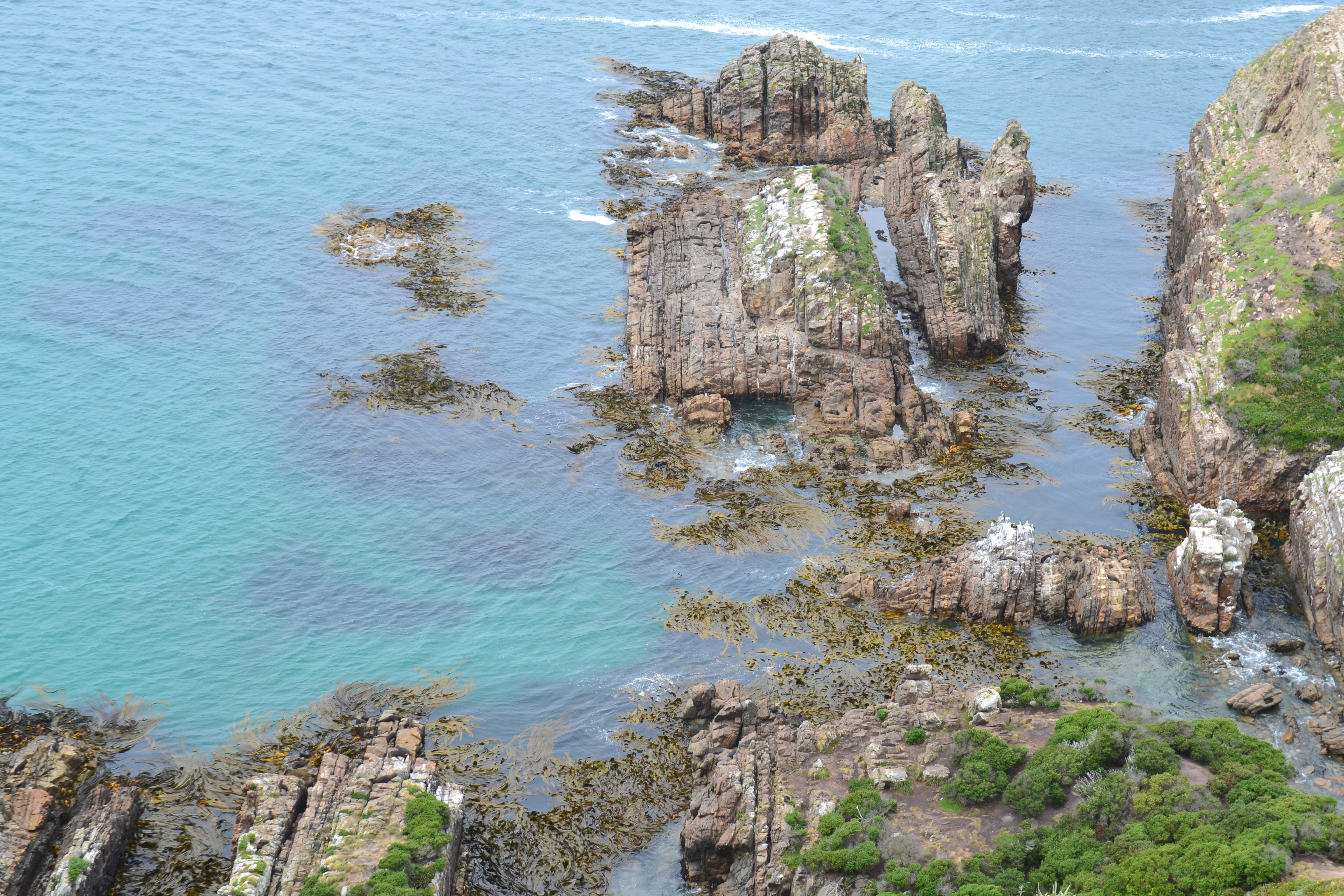 Nugget Point