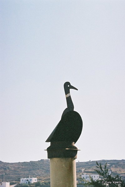 chimney duck