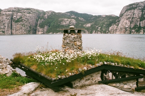 Natuurlijke daktuin, Lysefjorden (Noorwegen, 2009)