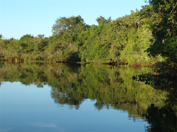 Nature reflects truth