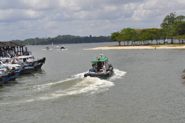 ferrystation en nationaal park van Changi