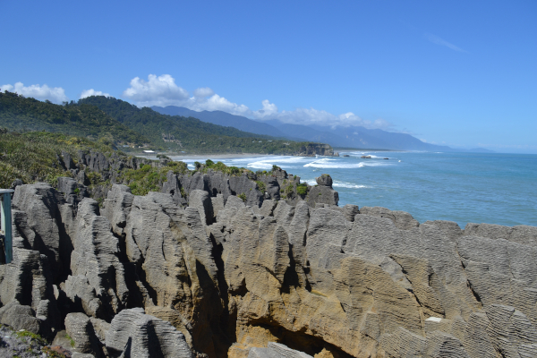 delicious 'pancakes'​ in New Zealand