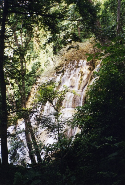 Kuang Si seen through the trees