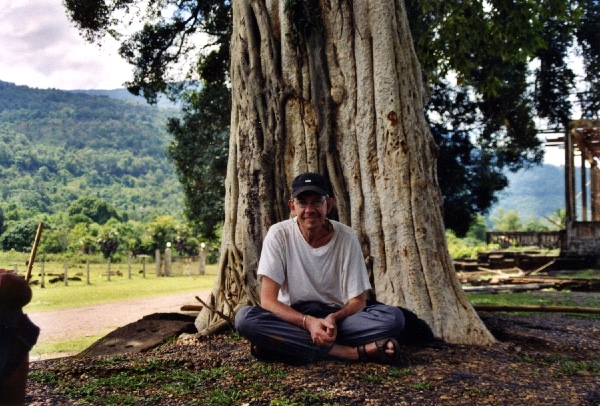 Guy's original photo beneath the banyan tree