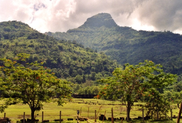 Phu Pasak Mt. (Penis Mt.), a fertility shrine