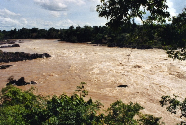 view downstream