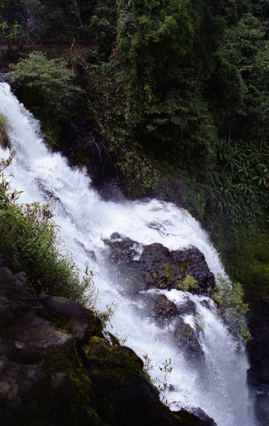 the pool below