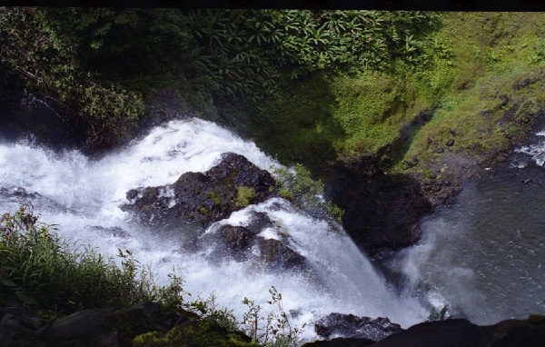 the pool below