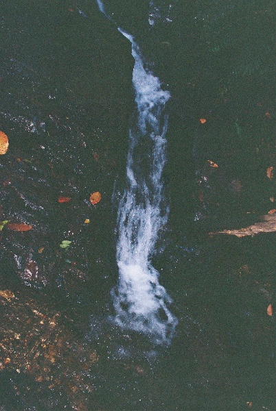 a third, high waterfall inside the forest