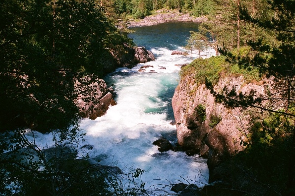 whitewater brook