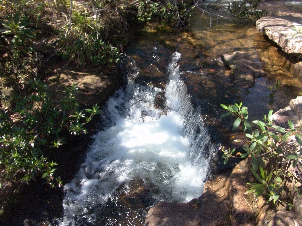 a small step along the brook above the cachoeira