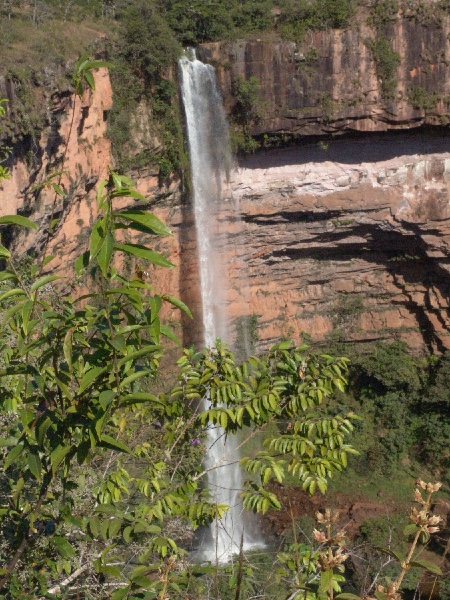 a full shot of the Bridal veil