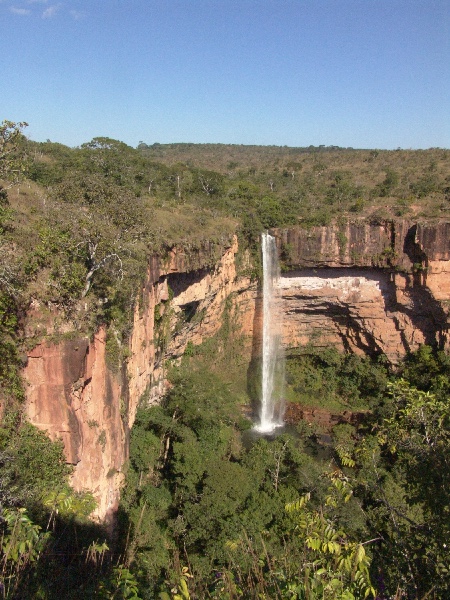 the veil at a distance