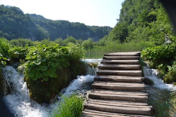 adventurous boardwalk