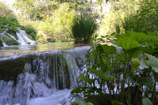 curving water mass