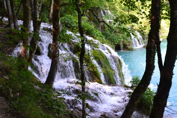 falls coming through the trees