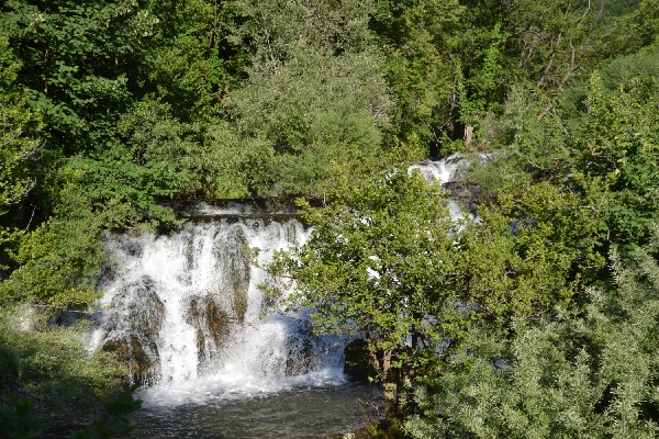 the green surroundings of Martin Brod