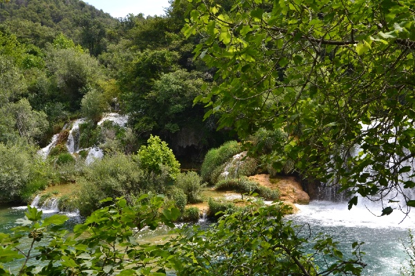 lush green surroundings