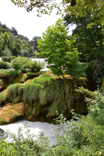 hanging gardens