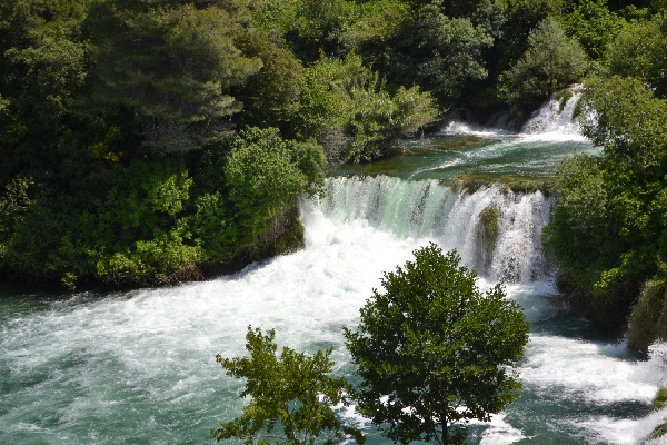 palette of green